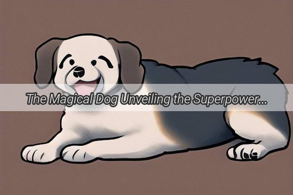 The Magical Dog Unveiling the Superpowers of Mans Best Friend